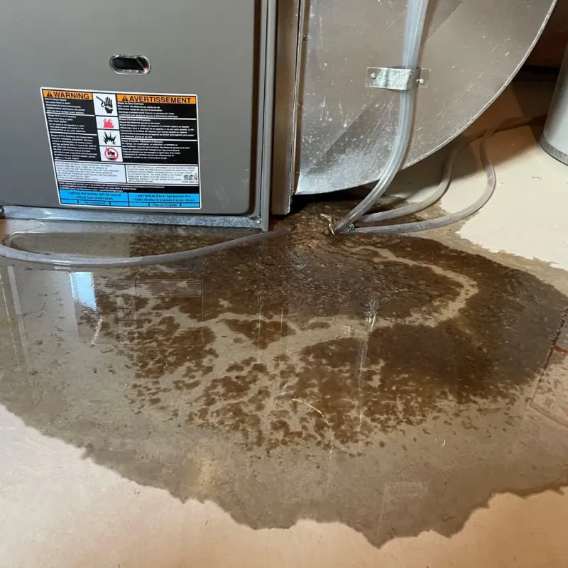 Appliance Leak Cleanup in Barrackville, WV