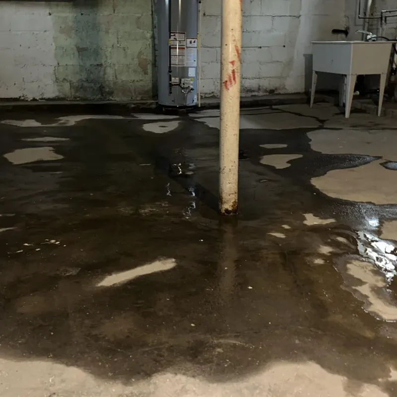 Emergency Water Extraction And Removal in Barrackville, WV